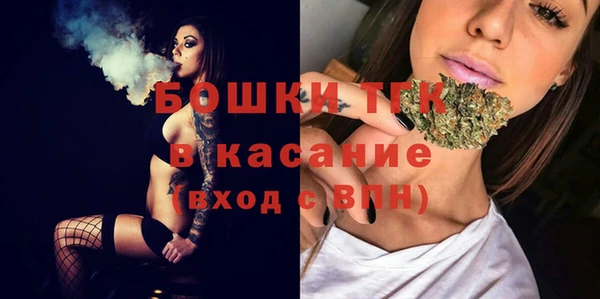 мдпв Липки
