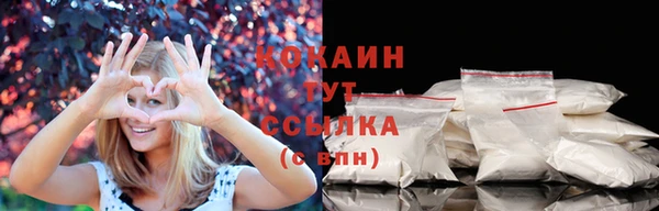 шишки Лиски