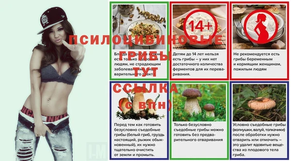шишки Лиски