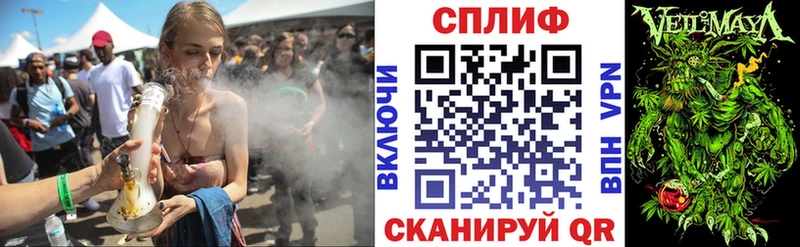 Шишки марихуана сатива  Купить где  Абаза 